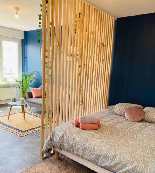 Le 610 - Cosy - Stationnement Gratuit & Wifi Lejlighed Saint-Etienne  Eksteriør billede